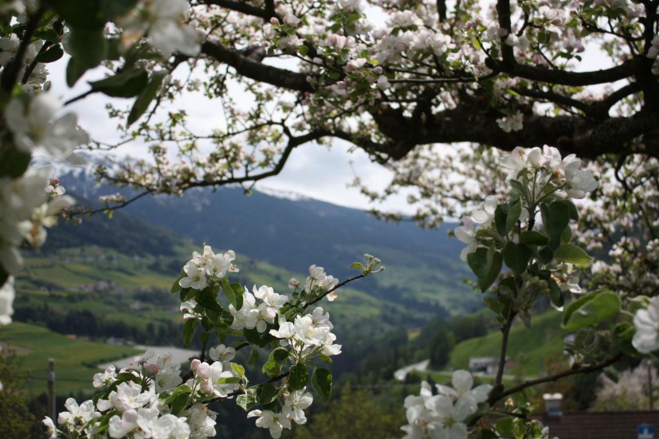 Апартаменти Stolznhof Шенберґ-ім-Штубайталь Екстер'єр фото